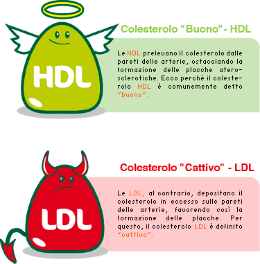 Colesterolo: combatterlo con i Fitostanoli