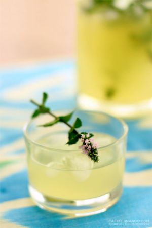 Ricette estive: limonata alla menta