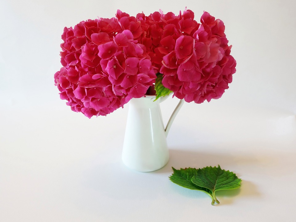 Come Realizzare Un Bouquet Di Ortensie E Sorgo Rosso Pourfemme