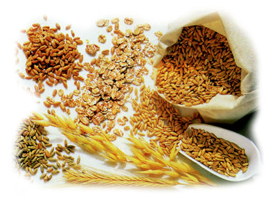 Dieta povera di fibre: indebolisce l’intestino
