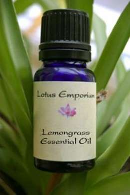 olio essenziale di lemongrass