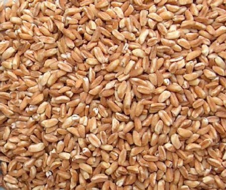 Dimagrire e stare in forma con il farro