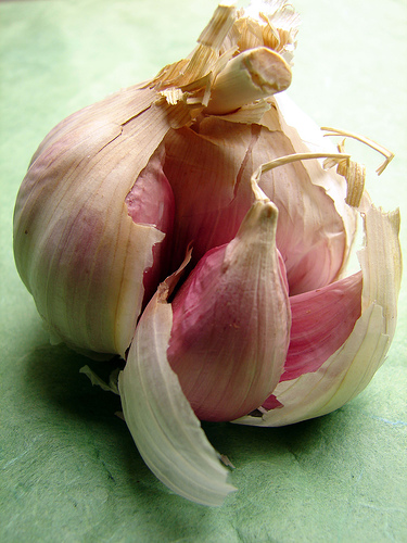 aglio colesterolo