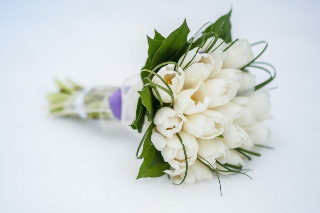 bouquet con tulipani di colore bianco e foglie verdi intorno su sfondo bianco