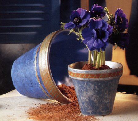 Come decorare vasi per i tuoi fiori