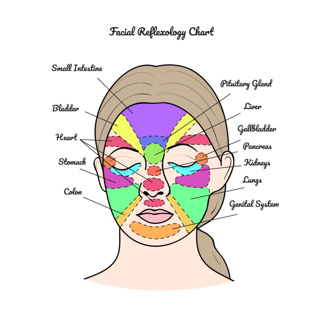 riflessologia viso grafico