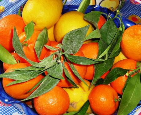 dieta degli agrumi
