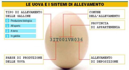 Caso diossina: cibi sani con etichette sicure