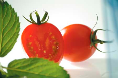 pomodoro ossa