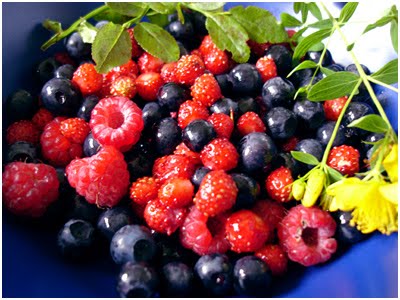 frutti di bosco nutraceutici