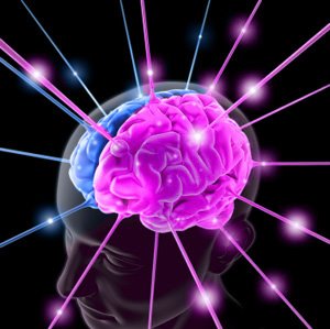 Cervello: mangiare di meno potenzia vista e memoria