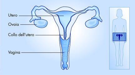Il tumore all'utero si può sconfiggere, parola di Umberto Veronesi