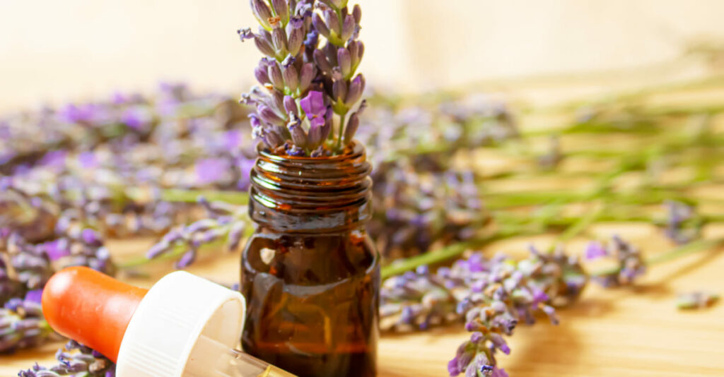 ingredienti per scrub per capelli fai da te, olio essenziale di lavanda e rametti di lavanda su un piano