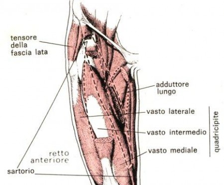 Stiramento della coscia: sintomi e rimedi