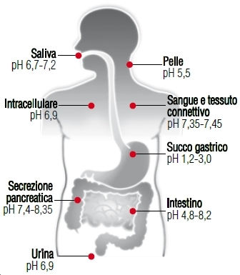 Come riconoscere i sintomi dell’acidosi metabolica e scoprirne le cause