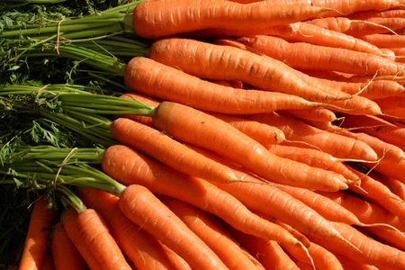 dieta della carota