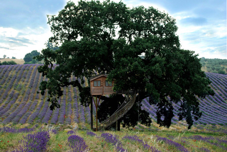 suite agriturismo la piantata