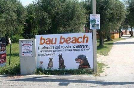 Vacanze in compagnia di Fido? Sul lago di Garda è nata la “bau beach”!
