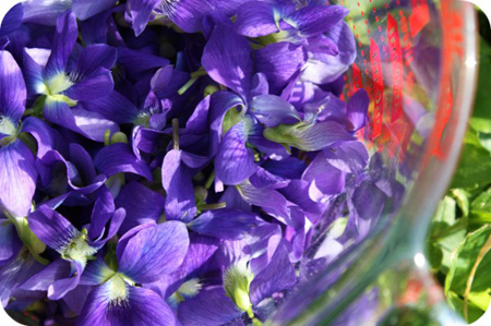 Ricette con i fiori: le sogliole alle violette