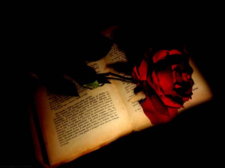 La bellissima e romantica poesia “Il Canto d’Amore” di Guillaume Apollinaire