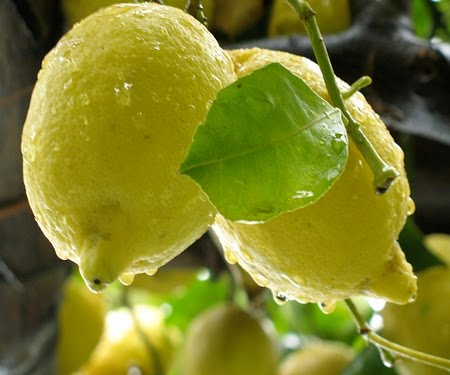 La dieta del limone per depurare e sentirsi in forma in tre giorni