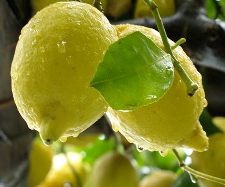 dieta del limone depurare