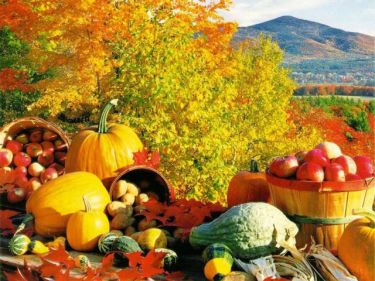 La dieta d’autunno per ritrovare la forma nella nuova stagione