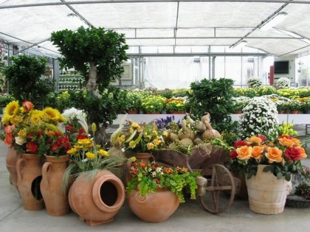 Lavoretti per bambini, vasi di fiori decorati da regalare ai nonni nel giorno della loro festa