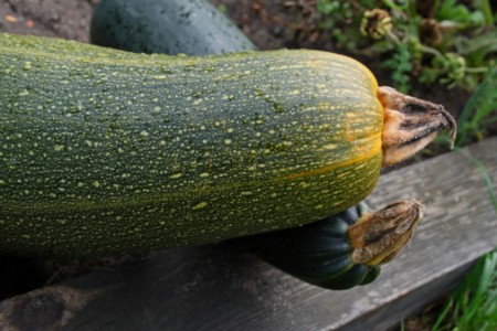 Cucinare le zucchine al vapore: una ricetta light