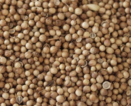 Coriandolo