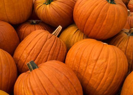 La zucca è il perfetto alleato di stagione per perdere peso