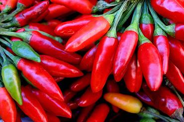 Il peperoncino è il condimento light perfetto per i vostri piatti