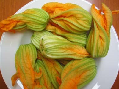 pasta fiori di zucca