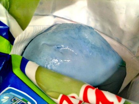 Le “mozzarelle blu” di nuovo sui banchi dei supermercati, stavolta a Frosinone