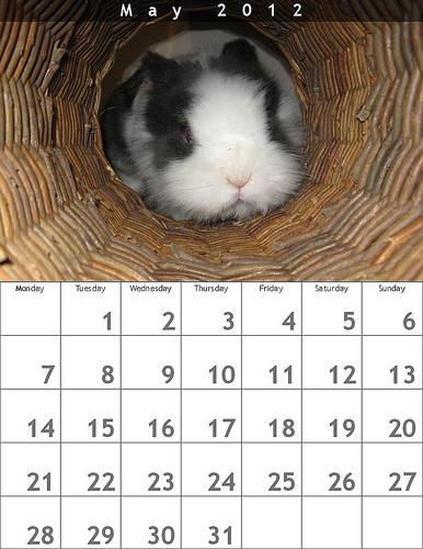 Calendari personalizzati con foto fai da te, per augurarvi un buon 2012