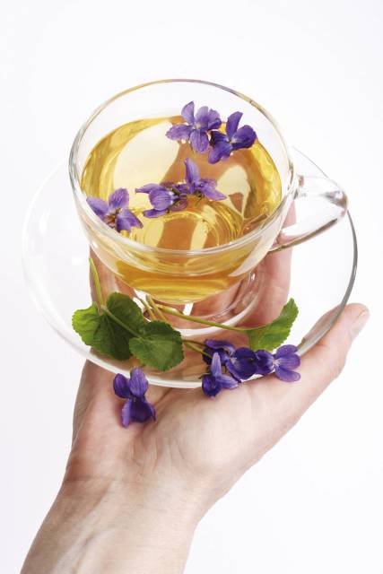 Combattere le occhiaie con l’aiuto della malva