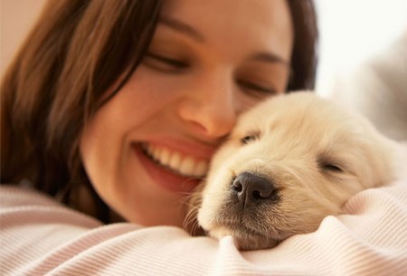 Animale domestico cuore
