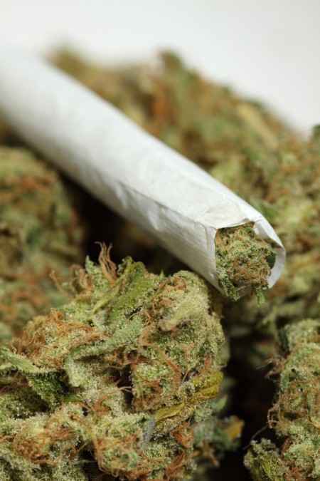 La marijuana manda il cervello in tilt