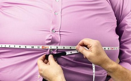 L’ obesità potrebbe dipendere da una spia del grasso difettosa
