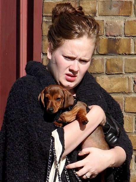Adele con il suo cane