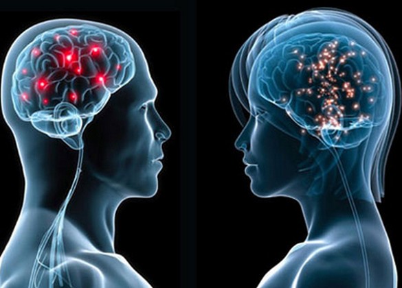 Donne piu intelligenti uomini