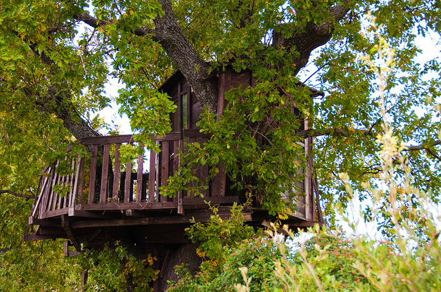 Come costruire una casa sull’albero per i bambini