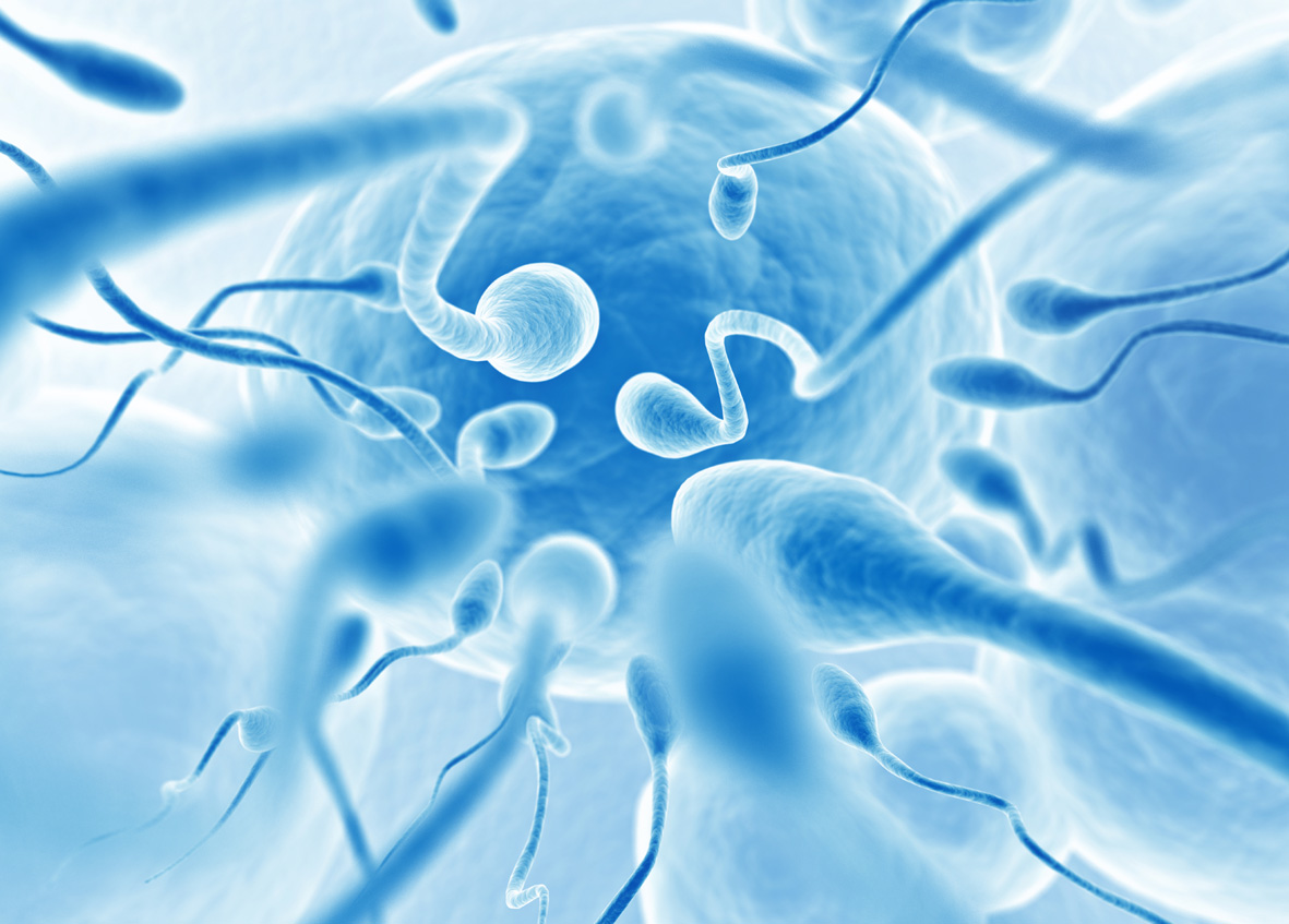 Varicocele e gravidanza