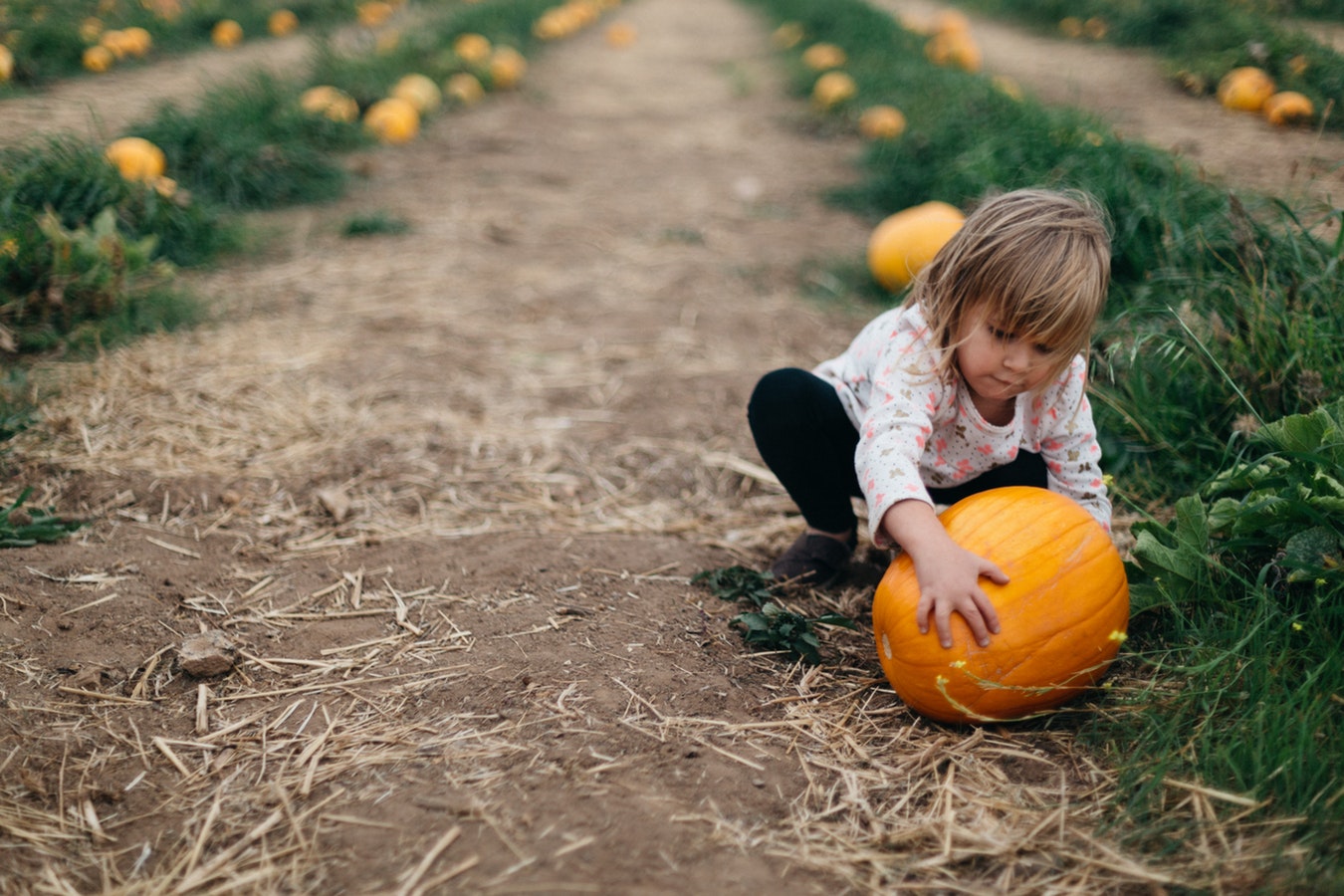 Filastrocche in rima per bambini sull’autunno [VIDEO]