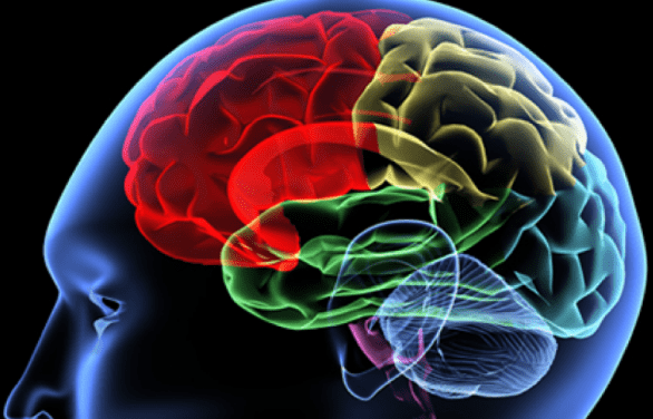 Tumore al cervello: sintomi, cause e cure