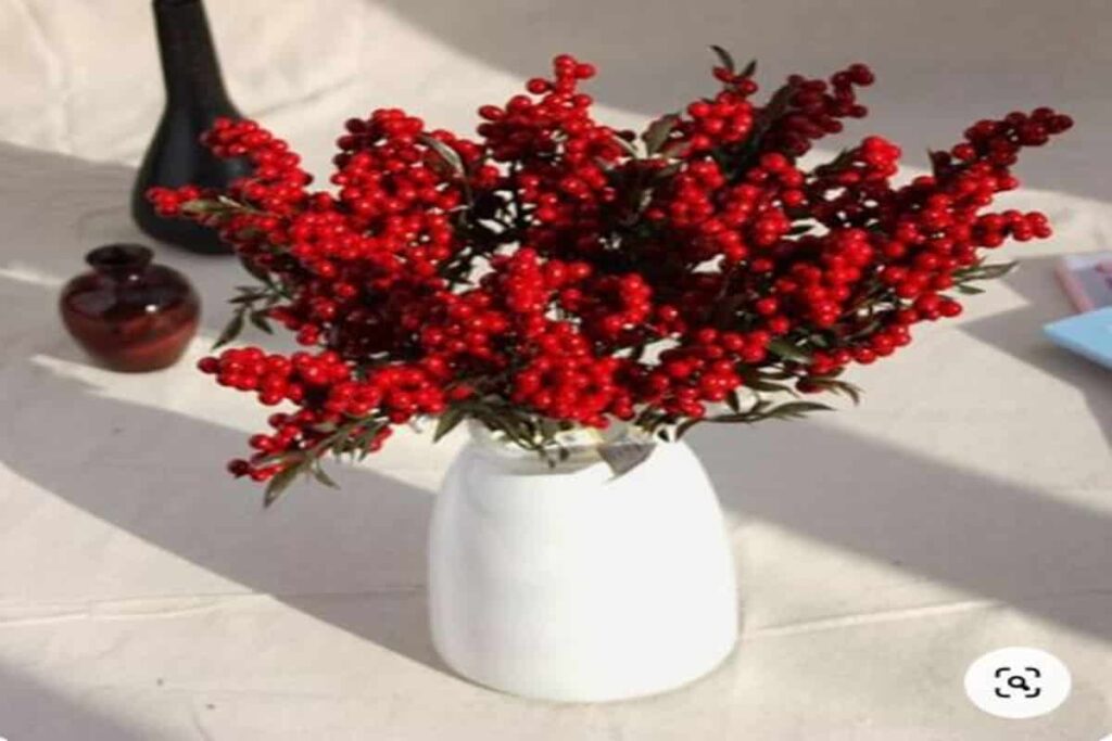 vaso di colore bianco con bacche di frutta rossa all'interno, su tovaglia bianca
