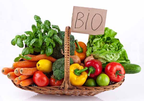 alimentazione bio test