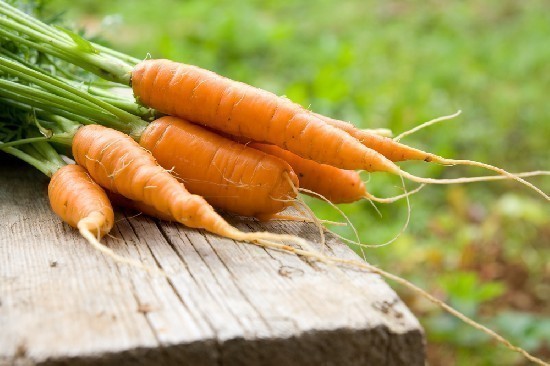 carote proprietà benefiche