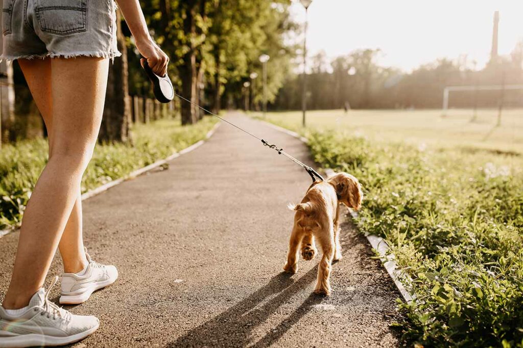 Ragazza che porta a spasso il cane nel parco