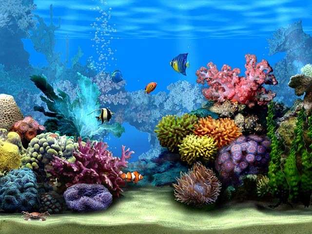 Come realizzare un acquario fai da te [FOTO]